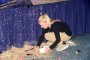 Thumbs/tn_Liedjesfestival 2016 262.jpg